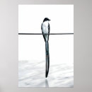 Zoek naar vogels op een draad posters Voor iedereen