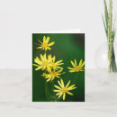 Zoek naar wilde bloemen fotografie Voor iedereen