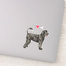 Zoek naar waterhond stickers Portie