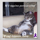 Zoek naar broek posters Kat