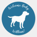 Zoek naar laboratorium stickers Puppy
