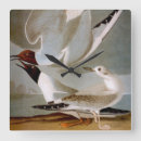 Zoek naar audubon klokken Vogelkunst