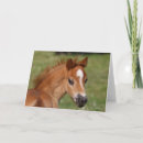 Zoek naar welsh pony kaarten Ras