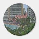 Zoek naar hawaiian magneten Hawaïaans