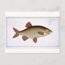 Zoek naar marine life briefkaarten After