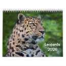 Zoek naar leopard kalenders Sneeuw