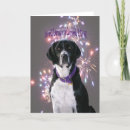 Zoek naar onvoorwaardelijke liefde kaarten Hond