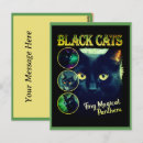 Zoek naar katten grap briefkaarten Zwarte kat