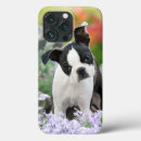 Zoek naar stier iphone hoesjes Voor haar