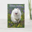 Zoek naar eskimo kaarten Puppy