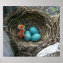 Zoek naar lente posters Bron