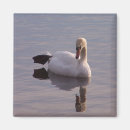 Zoek naar sleutelhanger magneten Vogel