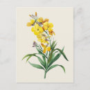 Zoek naar vintage botanisch briefkaarten Bloem
