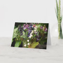 Zoek naar lelietje van dalen briefkaarten Verjaardag