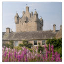 Zoek naar kasteel tegels Tuin