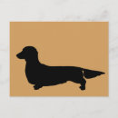 Zoek naar long hair dachshund briefkaarten Doxie
