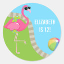 Zoek naar roze flamingo stickers Elk persoon