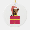 Zoek naar airedale ornamenten Hond