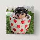Zoek naar afbeeldingen honden buttons Puppy