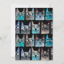 Zoek naar kittens uitnodigingen Huisdier