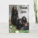 Zoek naar gordon setter kaarten Hond