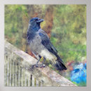 Zoek naar zachte kleuren posters Vogel