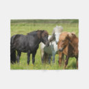 Zoek naar ijslandse dekens Ranch