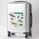 Zoek naar sprinkhaan stickers Insecten