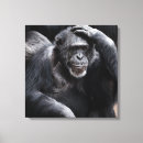 Zoek naar grappige chimpansee kunst Voor iedereen