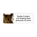 Zoek naar slaap etiketten Voor iedereen