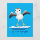 Zoek naar strandloper briefkaarten Voor iedereen