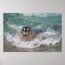 Zoek naar la californie posters Oceaan