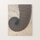 Zoek naar boomstam puzzels Wild