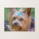 Zoek naar yorkshire terrier puzzels Dog
