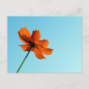 Zoek naar bloem lucht briefkaarten Mooi
