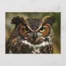 Zoek naar hoornvlies posters Wilde dieren