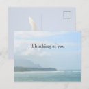 Zoek naar ocean briefkaarten Tropisch