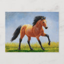 Zoek naar knipsel briefkaarten Equine