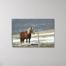 Zoek naar paarden kunst Weide