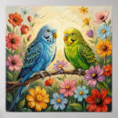 Zoek naar parkiet posters Vogels
