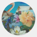 Zoek naar blad stickers Kleur