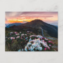 Zoek naar taiwan briefkaarten Zonsopgang
