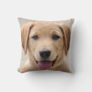 Zoek naar kwaliteit kussens Voor haar