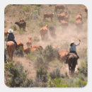 Zoek naar vee stickers Westers