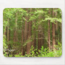 Zoek naar treinen muismatten Elk persoon