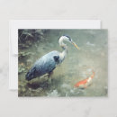 Zoek naar reiger briefkaarten Wilde dieren