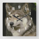 Zoek naar grijze wolf klokken Voor iedereen