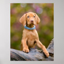 Zoek naar jachthonden posters Voor haar