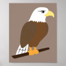 Zoek naar cartoon adelaar posters Dier