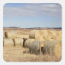 Zoek naar hooi stickers Platteland